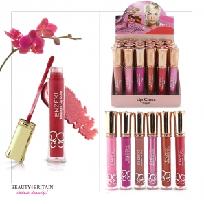 24 Lip Gloss Set Enzexi Different Colours