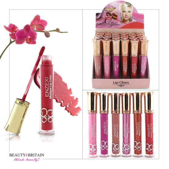 24 Lip Gloss Set Enzexi Different Colours - Click Image to Close