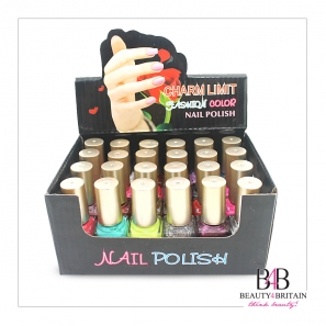 24 Nail Polish Set (24 Different Modern Colours)