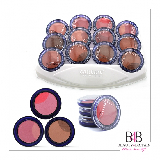 12 Blush Blusher Rouge Set - Click Image to Close