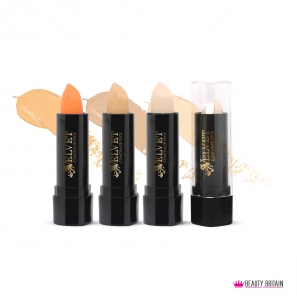 12 Premium Concealer Set