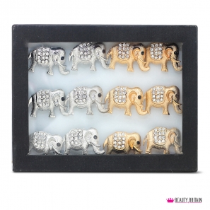 48 Rings with Animals