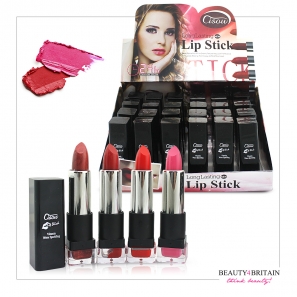 24 Lipstick Set Many Different Colours