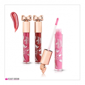 24 Lip Gloss Set Envexi