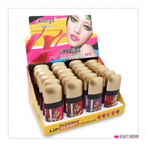 24 Double Lip Gloss Colour & Gloss 3D Effect