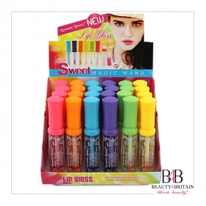 24 Big Lip Gloss Sweet 6 Flavours