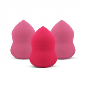 Professional Blender Sponge Set