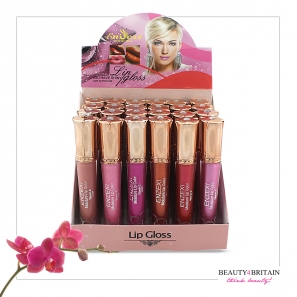 24 Lip Gloss Set Enzexi 6 Different Colours