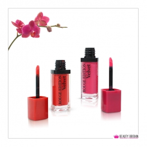 36 Lip Gloss Set Romantic Bird