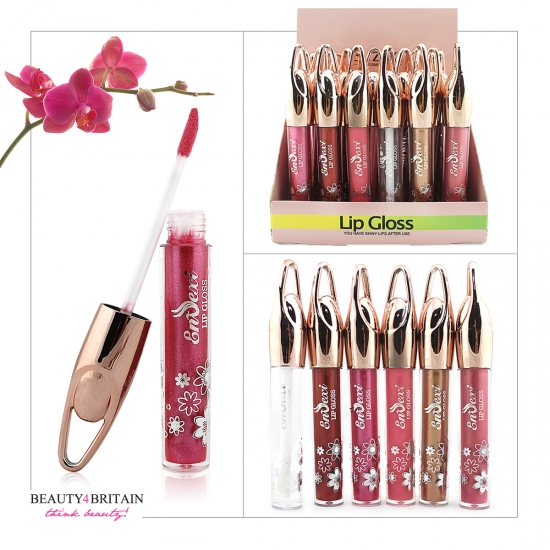 24 Lip Gloss Set Enzexi Different Colours - Click Image to Close