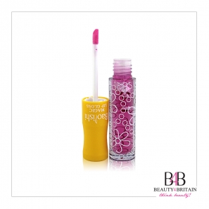 24 Big Lip Gloss 6 Flavours