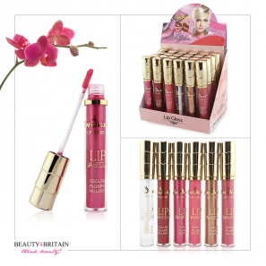 24 Lip Gloss Set Enzexi Different Colours