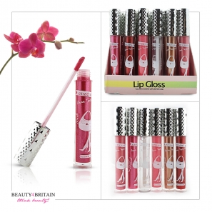 24 Big Lip Gloss Set Different Colours