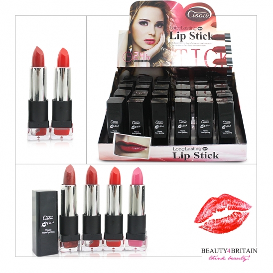 24 Lipstick Set Many Different Colours