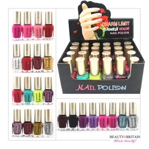 24 Nail Polish Set (24 Different Modern Colours)