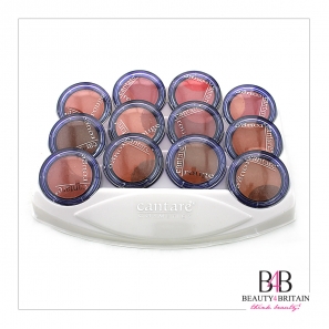 12 Blush Blusher Rouge Set