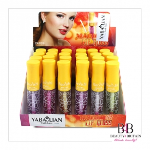 24 Big Lip Gloss 6 Flavours