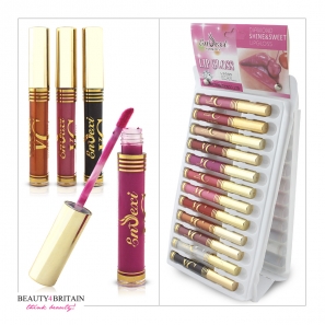 24 Lip Gloss Set Enzexi 12 Colours