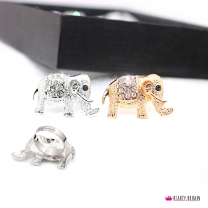 48 Rings with Animals