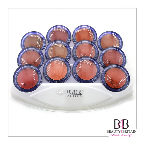 12 Blush Blusher Set (Rouge) - Click Image to Close