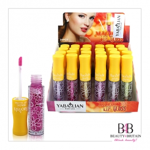 24 Big Lip Gloss 6 Flavours