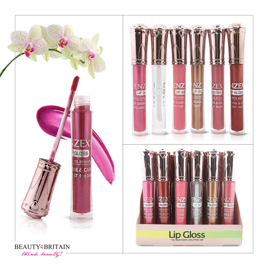 24 Lip Gloss Set 6 Different Colours - Click Image to Close