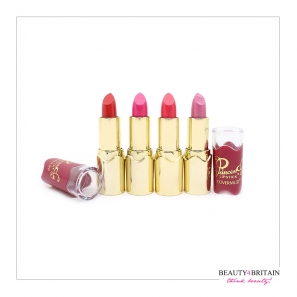 24 Luxury Lipsticks Covermuzi