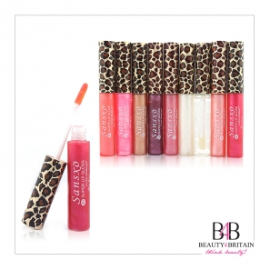 24 Lip Gloss Set Many Different Colours incl. Colourless