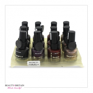 24 Magnetic Nail Polish Set