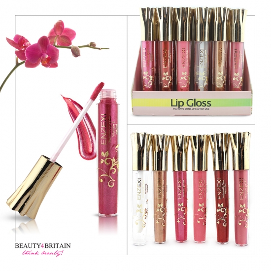 24 Lip Gloss Set Enzexi Different Colours - Click Image to Close